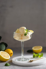 Lemon ice cream scoops with fresh citrus and mint in a glass on a marble tray. Gelateria, cafe, restaurant menu. Summer refreshing dessert. Side view, copy space