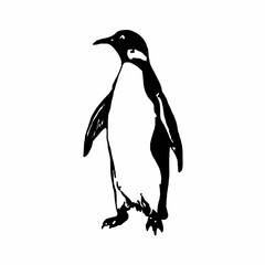 Penguin illustration in black and white isolated on white background