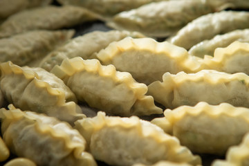 Home made pan fried dumpling 
