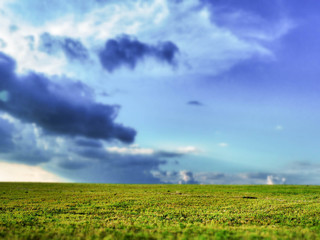 Green field and blue sky in selective focus