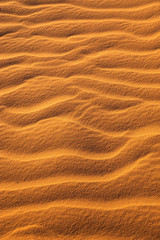 Fototapeta na wymiar Wave of sand texture. Desert Wadi Rum, Jordan.