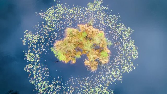 Top Down Shot of Tiny Island with Trees in a Lake in a Colorful Autumn Forest, the Clouds Reflecting in the Calm Water, Zooming In - Heidehuizen, Friesland, Netherlands / Holland &ndash; 4K Drone Footage
