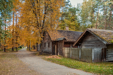View of old wooden village with residential buildings. Autumn landscape. Open air museum. Latvia. Baltic