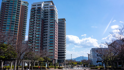 公園からみるマンション