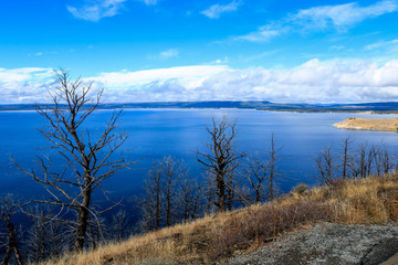 Fototapeta premium Majestic Landscape of the Trees and Lake in Yellowstone National Park, USA