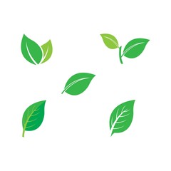 Set Leaf icon Vector Illustration design