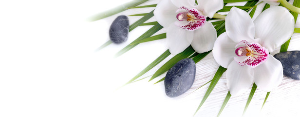 panoramic view on beautiful white orchid on leaf and pebbles on white copy space
