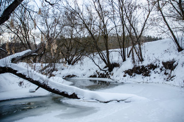 winter landscape with trees and snow