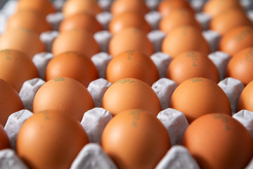 A pack of brown eggs 