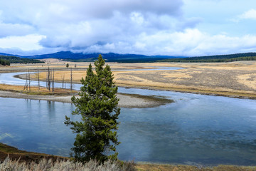 Forest Landscapes in the Yellowstone Nationl Park, USA