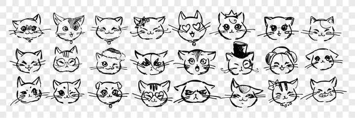 Hand drawn cats emotions and facial expressions set