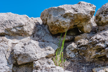 Stone walls - National archaeological park Chersonesos