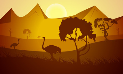 Silhouette. African ostriches birds in the savannah in the grass with trees on a background of sunset and mountains.