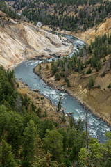Fototapeta na wymiar Mount River in the Forest of the Yellowstone National Park, USA