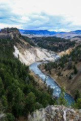 Mount River in the Forest of the Yellowstone National Park, USA