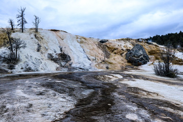 Palette Springs in Yellowstone National Park, USA