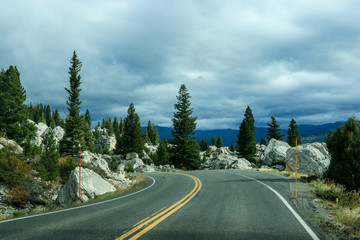 Naklejka premium Road way in the Forest of Yellowstone National Park, USA