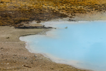 Streaming geyser basin in Yellowstone National Park, USA