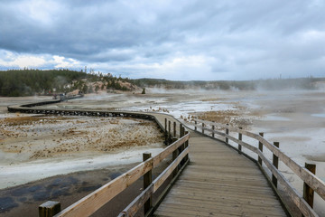 Streaming geyser basin in Yellowstone National Park, USA