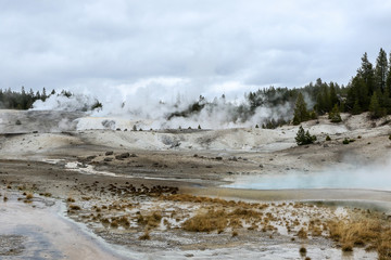 Streaming geyser basin in Yellowstone National Park, USA