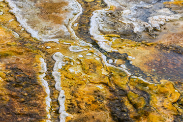 Sulfur Water Points in the Yellowstone National Park, USA