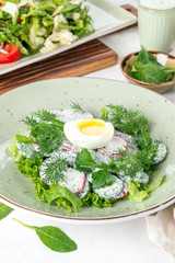 Salad with egg, radish, cucumber and fresh herbs