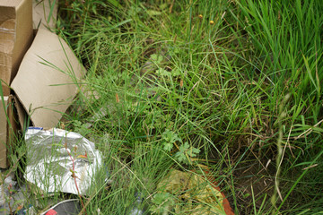 garbage is everywhere. environmental pollution. problem of worldwide.