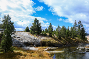 Mount River in the Forest of the Yellowstone National Park, USA