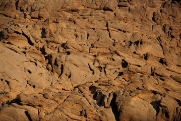Camel Safari on the desert, Sharm El Sheikh, Egypt.
