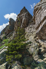 Obraz premium Alpine meadows Taganay