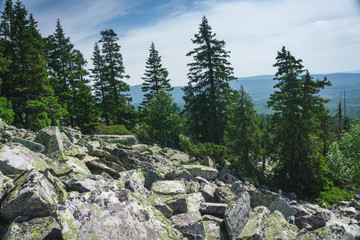 Alpine meadows Taganay