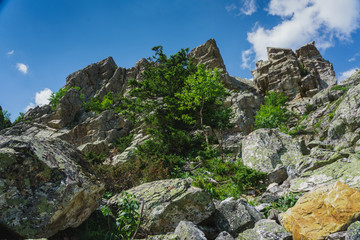 Alpine meadows Taganay