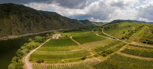Fototapeta na wymiar Vineyard in the Mosel Valley on a sunny and party cloudy day close to the Kloster Ruine Stuben and The Mosel Loop - drone aerial