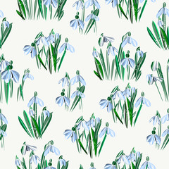 Snowdrops background or pattern with snow