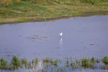 Flooded meadow in Stircea, small village in Glodeni District of Moldova