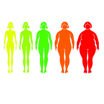 Types of woman body - from skinny to overweight and fat. Stock vector illustration