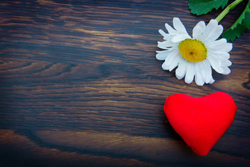 Obraz premium White marguerite and red heart on brown wooden background.