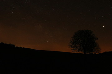 Fototapeta na wymiar Sternenhimmel am frühen Morgen mit Silhouette eines Baums