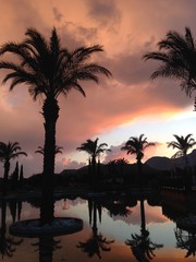 Obraz premium Palm trees and gazebos in Turkey on the background of a beautiful sunset.