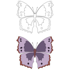 Fototapeta na wymiar vector, isolated, butterfly, coloring book