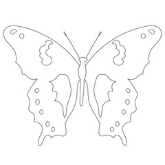 vector, isolated, sketch, outline, butterfly, insect, icon