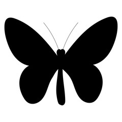 black silhouette of a butterfly, on a white background