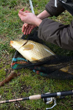 Pesca