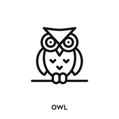 owl icon vector. owl symbol sign.