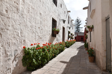 Ruelle fleurie à Arequipa, Pérou