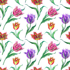 Fototapeta na wymiar Seamless pattern of multicolored tulips on a white background, watercolor illustration. Floral print for fabric and various designs.