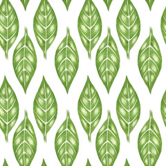 Seamless pattern with green leaves, hand painted watercolor illustration, green background