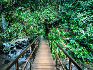 Fototapety  Drewniany most nad rzeką w tropikalnym lesie deszczowym