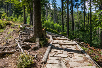 A stony tourist path towards the mountain peak in the Sudety  mountains