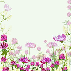 Obraz na płótnie Canvas cosmos flowers and clover in the meadow
